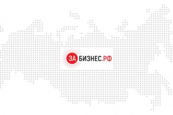 Подведены первые итоги работы платформы ЗаБизнес.рф