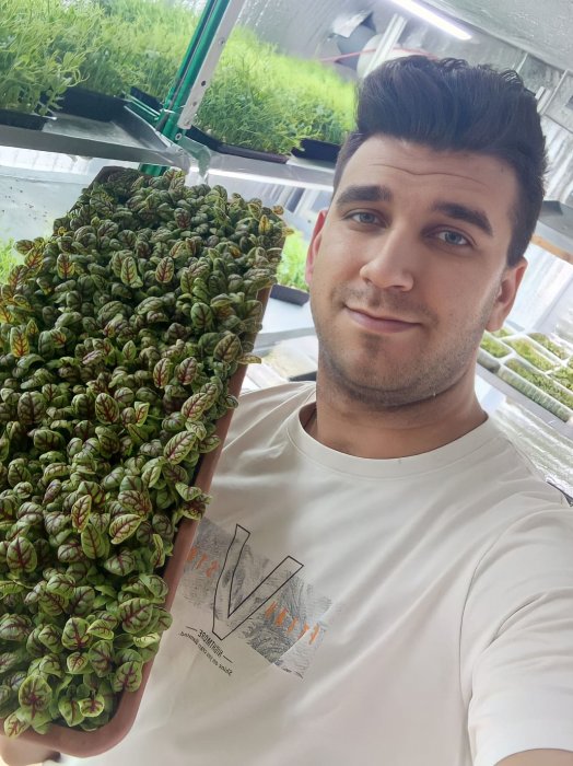 Молодой предприниматель из Новосибирска получил грант на развитие фермы по выращиванию микрозелени