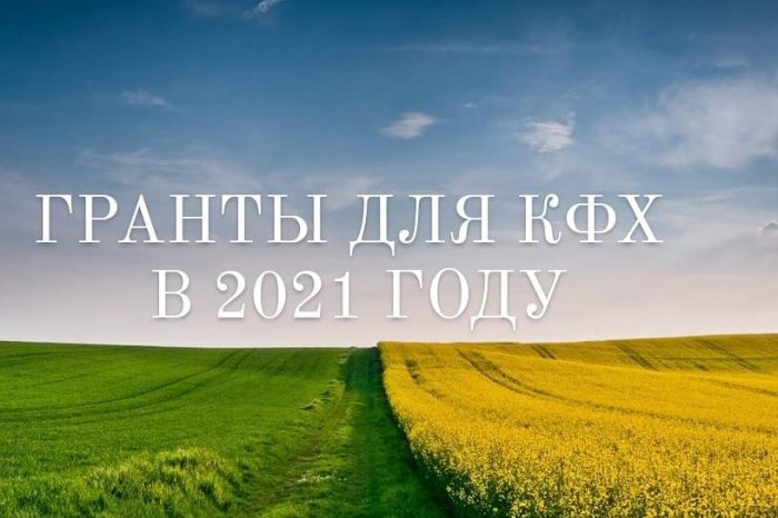 "Грантовая поддержка КФХ и сельхозкооперативов в 2021 году"
