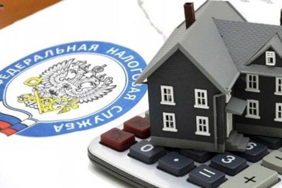 Подать заявление о льготах по имущественным налогам следует в течение 1-го квартала