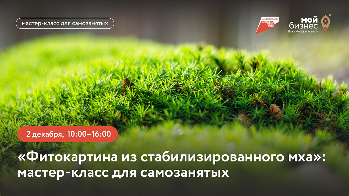 Фитокартина из стабилизированного мха (мастер-класс)